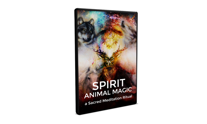 Cosmic Spirit Animal pricing