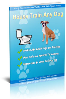 How To Housetrain & Potty Train Any Dog pricing